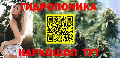 амф Ярцево