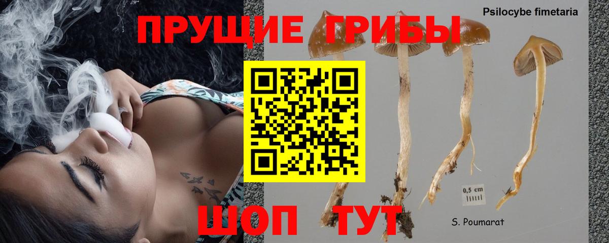 Галлюциногенные грибы Cubensis Ковров